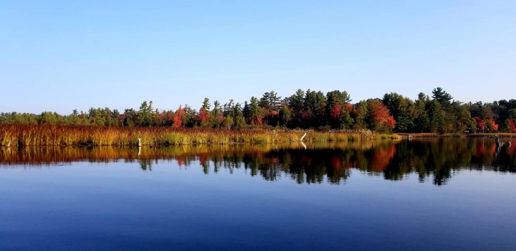 Michigan Fall - On the Ausable